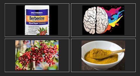 Berberine Brain Benefits