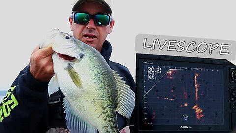 How Garmin LIVESCOPE changed Crappie Fishing Forever (Lake of the Pines, Texas pt.3)