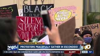Demonstrators gather in Escondido for protest