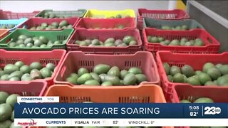 Avocado prices are soaring