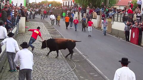 Touradas 2014 Clip 8 - Diversas Localidades Ilha Terceira - Açores - Portugal