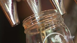 Florida bars getting creative to keep business alive