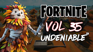 Fortnite Vol 35 "Undeniable"