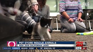 New laws in California about pets
