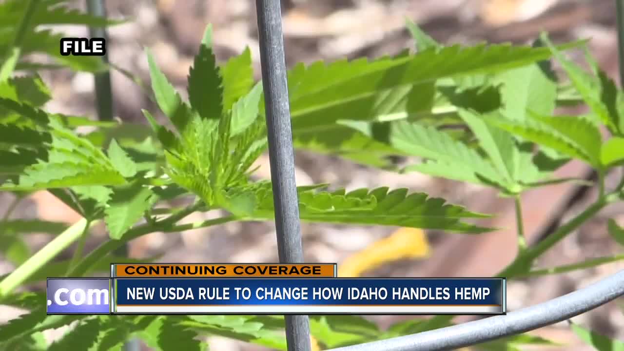 New USDA rule will change how Idaho handles hemp