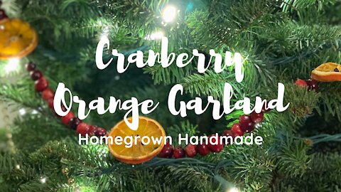 DIY Cranberry Orange Garland
