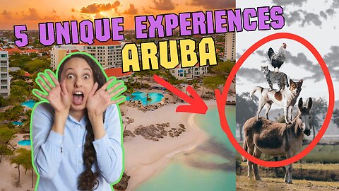 Aruba Top 5 Unique Experiences Revealed! | HIDDEN Cave Pool, Natural Bridge, Donkey Sanctuary & More
