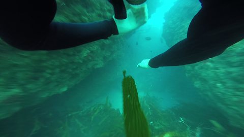 POV footage captures intensity of underwater cave diving