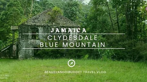 Travel Vlog: Our Epic Adventure in the Blue & John Crow Mountains, Jamaica