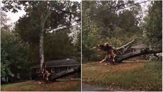 Un arbre détruit une maison de Caroline du Nord