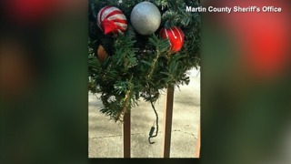 Christmas lights Grinch costing Martin County residents money, holiday spirit