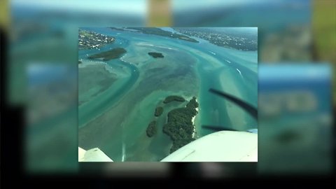 Former Sewall's Point mayor, husband spend years photographing algae in St. Lucie River