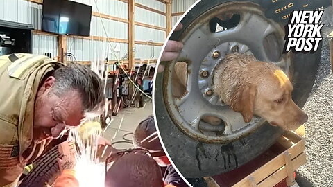 NJ firefighters save pooch trapped in tire