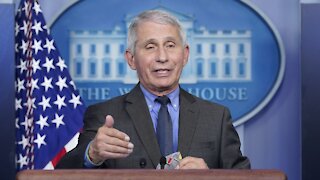 Fauci: 'Unlikely' U.S. Will See Fall, Winter Surge