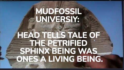 MUDFOSSIL UNIVERSIY: HEAD TELLS TALE OF THE PETRIFIED SPHINX BEING WAS ONES A LIVING BEING.