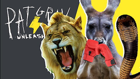 The Zoo Wars Are Coming | Guest: Jennifer Knox | 4/17/20