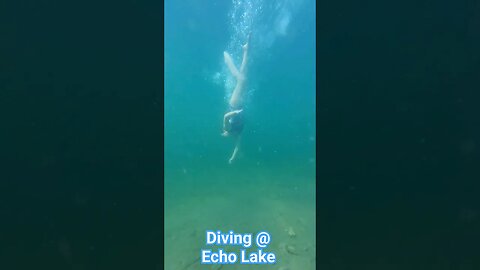 😲 Amazingly clear diving 🤿 Echo Lake | #freediving #summer