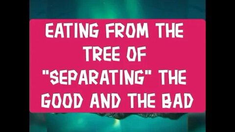 Night Musings # 273 - Eating From The Tree Of "Separating" The Good And The Bad... Within Our Mind 🧠