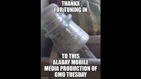 Today on GMO Tuesday...