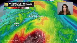 Hurricane Epsilon could bring gusty winds and large waves to parts of Newfoundland