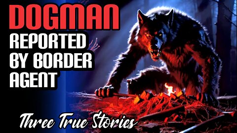 Disturbing True Dogman Encounter Stories From Viewers