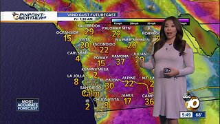 10News Pinpoint Weather with Meteorologist Angelica Campos