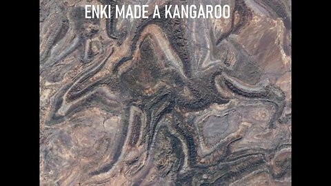 ENKI MADE A KANGAROO THE ANUNNAKI ANT BEING CREATOR MADE A ROO FOR ADAM TO RIDE (Audio Remastered)