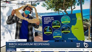 Birch Aquarium reopening this weekend