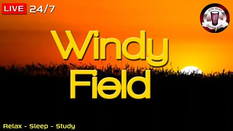 🔴🌬 Windy, Grassy Field | 12 HOURS | Sleep, Relax, Study, Focus | Sounds For Sleep | Fall Asleep Fast