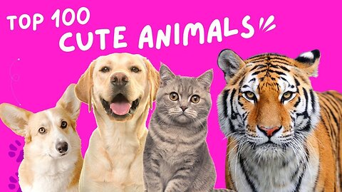 1 Hour New Trending Funny Animals 2023😅 Funniest Cats and Dogs 😹🐶 #funnycatdog #funnyanimals