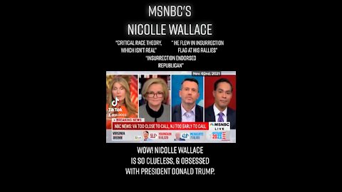 MSNBC’s Nicolle Wallace Is A Crazy Person.