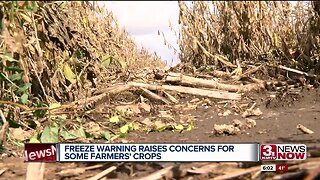 Freeze Concerns for Crops Update