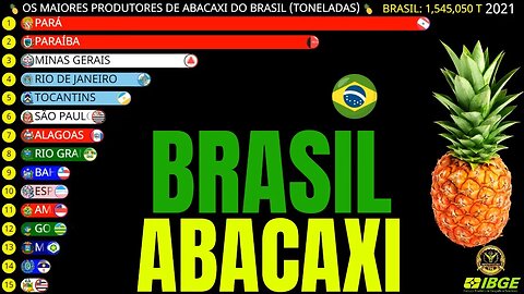 Os Maiores Produtores de Abacaxi do Brasil