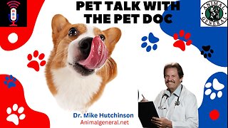 Pet Talk With The Pet Doc (CBD and Mushroooms for Pets)