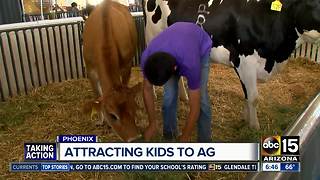 Arizona State Fair: Youth Week begins Monday