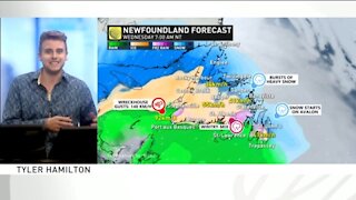 Newfoundland, your storm-breakdown through Wednesday