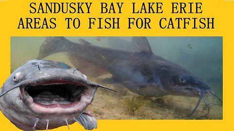 Sandusky Bay Lake Erie (Areas to Fish for Catfish)