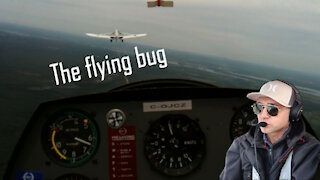 The Flying Bug