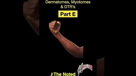 Testing Dermatomes, Myotomes and DTRs #shorts (Part E)