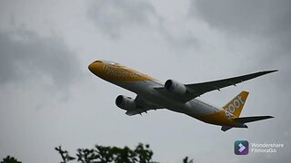 Airbus A350 Singapore Airlines,Boeing 787-9 scoot