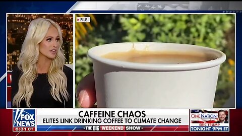 Tomi Lahren: Climate Crazies Look To Ruin People's Lives