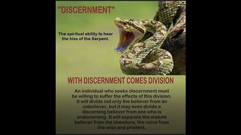 NO Discernment