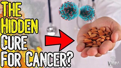EXPOSED: The HIDDEN CURE For Cancer? - What Big Pharma DOESN'T WANT You To Know About Apricot Seeds