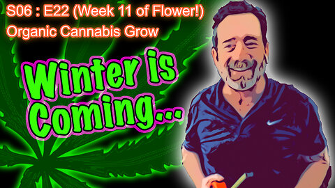 S06 E22 Day 148 of Flower || How to Water and Grow Cannabis for Beginners ||