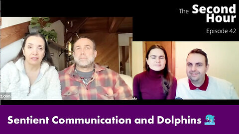 Sentient Communication and Dolphins 🐬