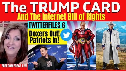 BOMBSHELL: Trump Card and Internet Bill of Rights - Twitterfiles 6!