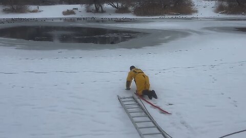 Firefighter rescues dog from icy lake