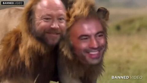 AJ and Joe Rogan watch the Lionheart meme video!!