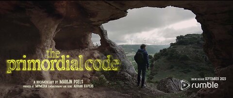 The Primordial Code