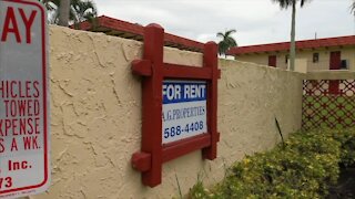 Competitive home buyer market puts strain on rental inventory in Florida